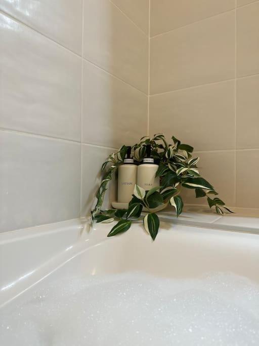 Jungle Suite - Moderne & Spacieux Анси Экстерьер фото